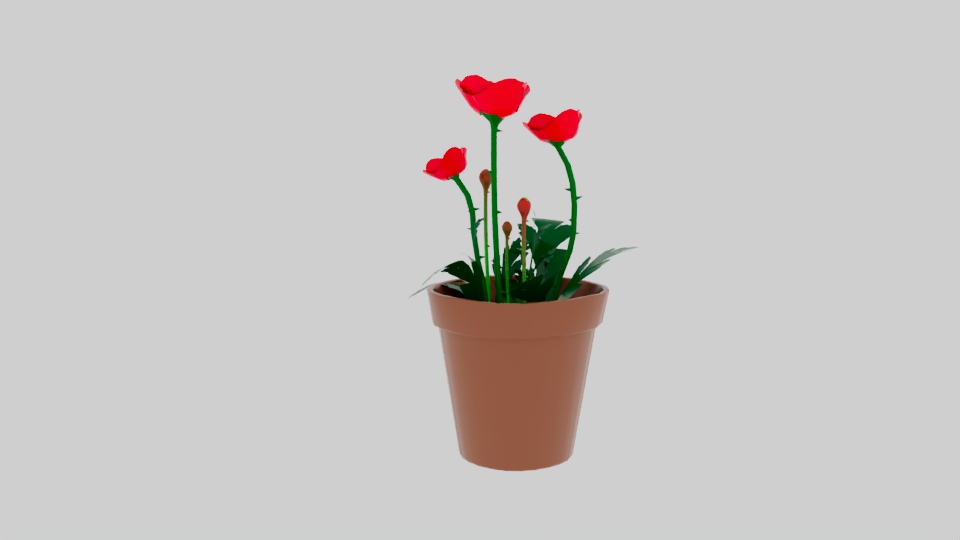 Poppy 3D plant asset
